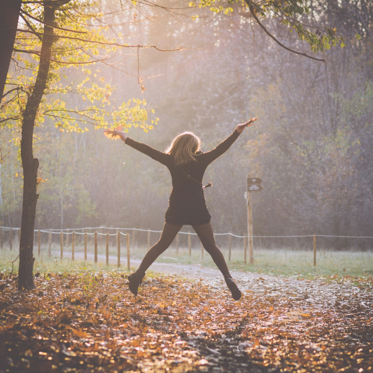 Person leaps with arms outstretched on a leaf-covered forest path, bathed in golden autumn sunlight.