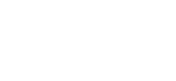 Level Wellness